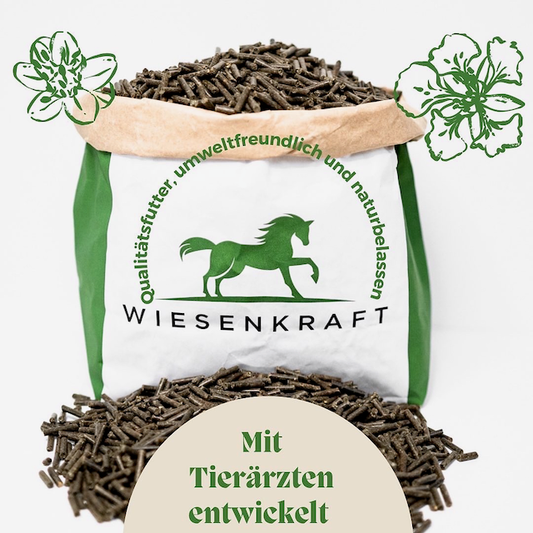 Wiesenkraft Gutschein - Wiesenkraft
