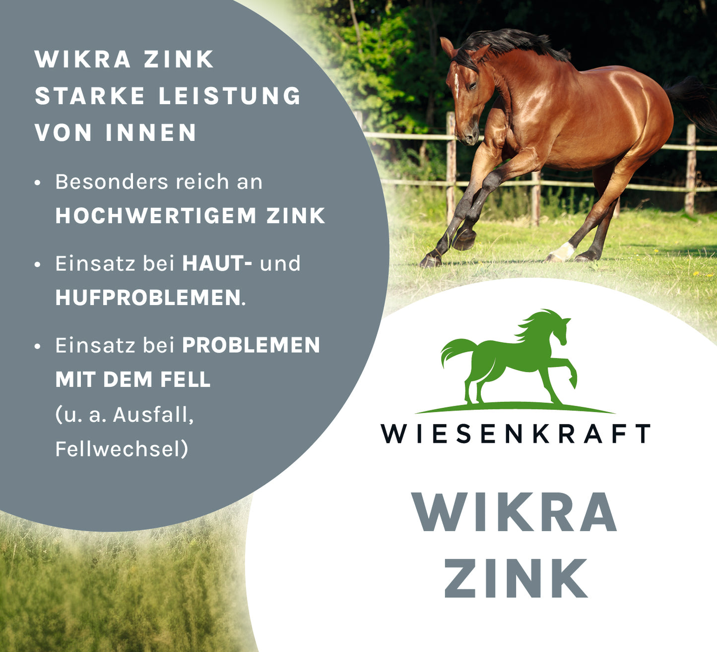 Wikra Zink - Wiesenkraft