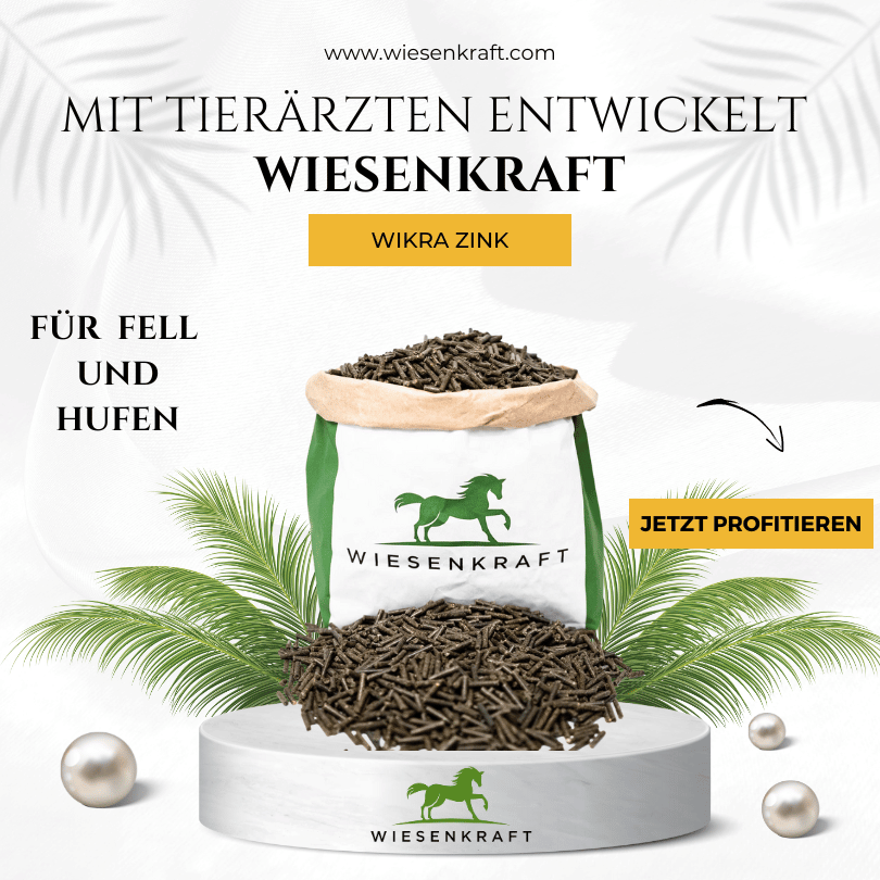 Wikra Zink - Wiesenkraft