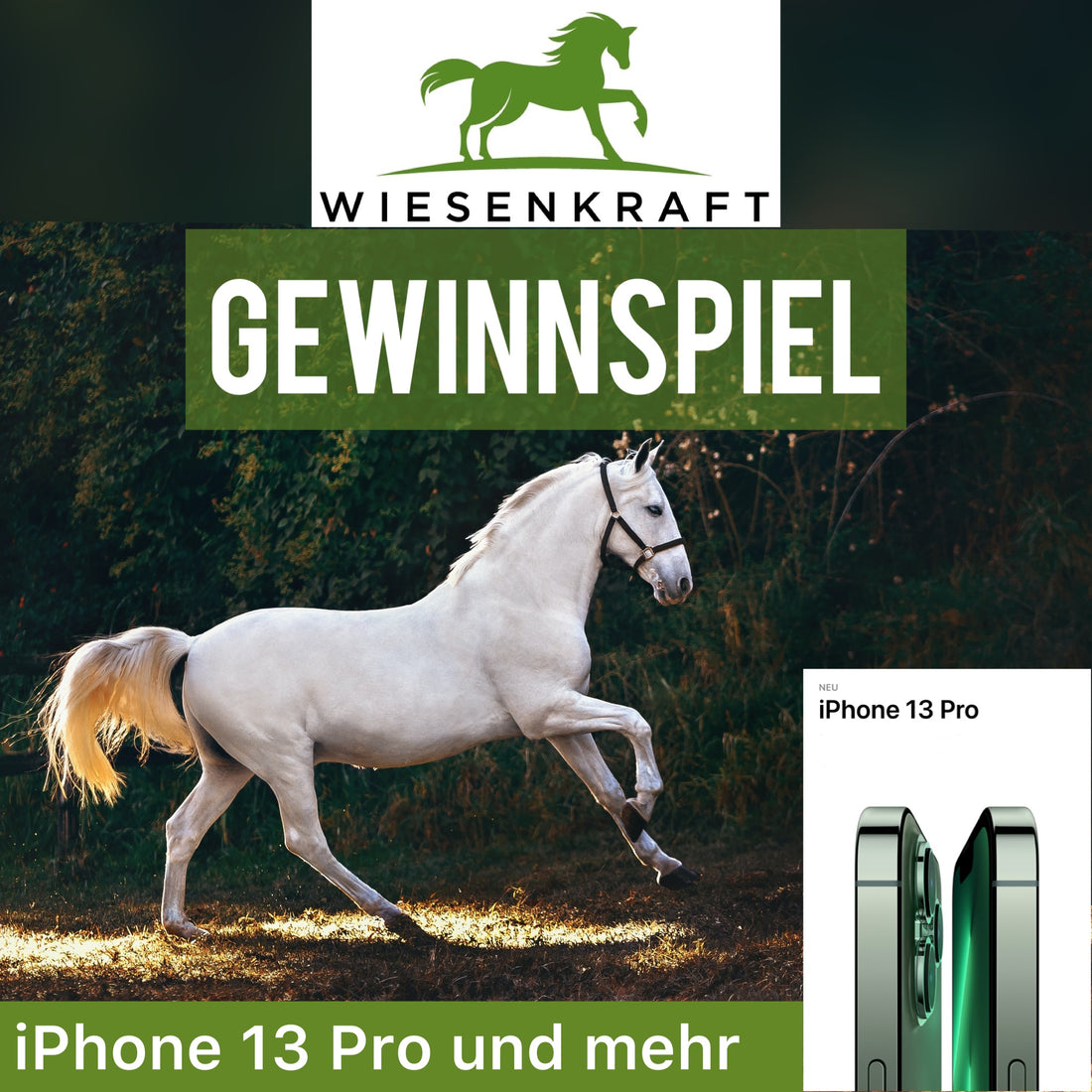 Gewinnspiel mit iPhone 13 Pro auf Instagram gestartet