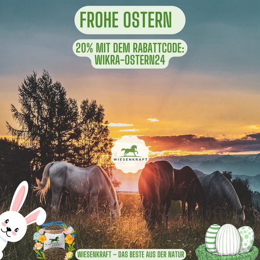 Der große Oster-Sale hat begonnen! 20% auf die gesamte Bestellung. Nur solange der Vorrat reicht. 😍🐣🐇