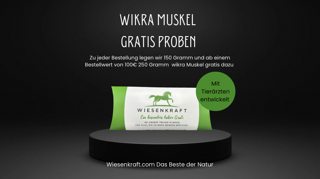 Wikra Muskel Wochen - Wir legen zu jeder Bestellung Wikra Muskel gratis dazu