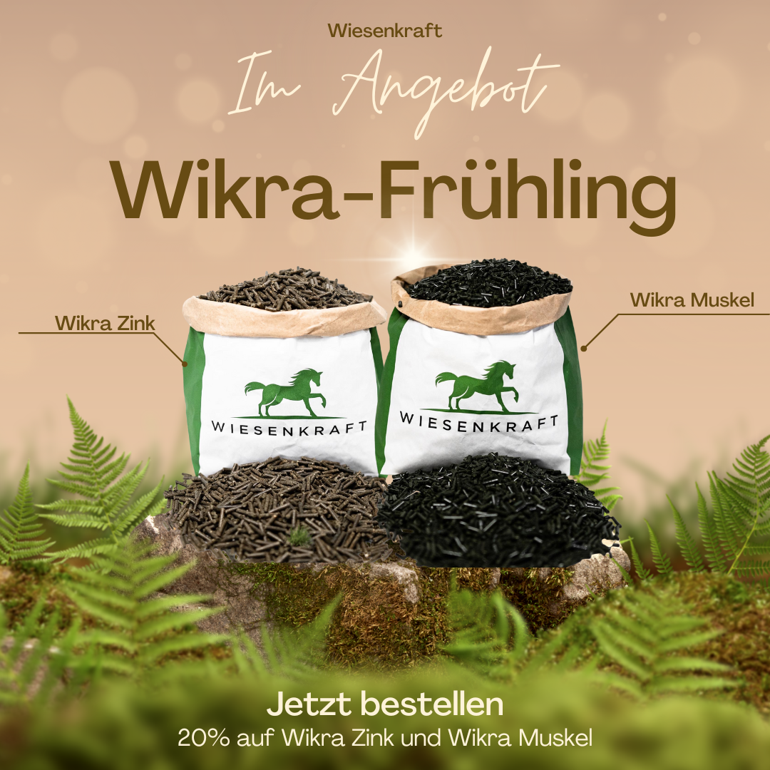 Wikra Frühling - 20% auf Wikra Zink und Muskel