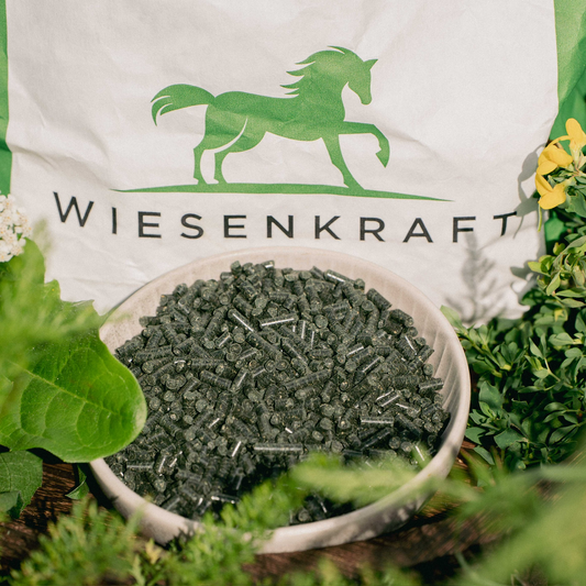 Muskelaufbau beim Pferd: Was wirklich funktioniert