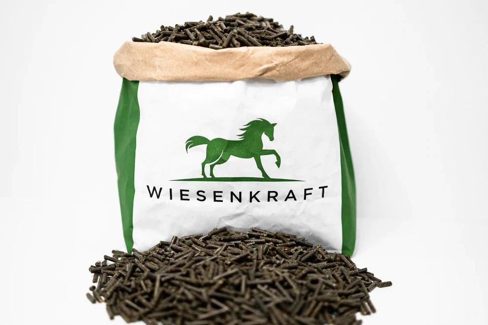 Zinkmangel beim Pferd: Symptome, Ursachen & richtige Fütterung