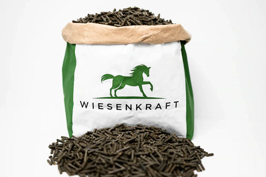 Zinkmangel beim Pferd: Symptome, Ursachen & richtige Fütterung