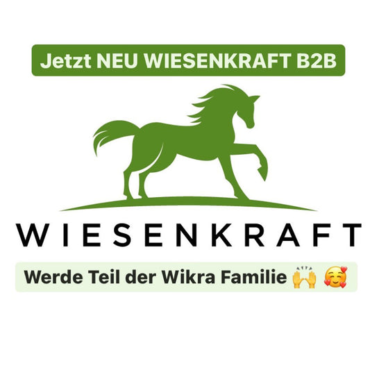 Wikra startet das B2B-Geschäft