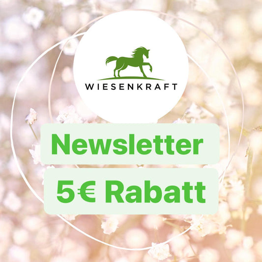Newsletter-Rabatt - 5€ auf Deine nächste Bestellung