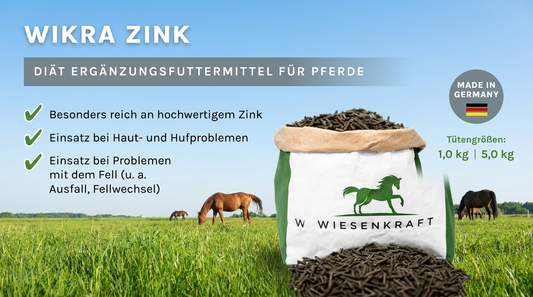 Zink beim Pferd im Fellwechsel
