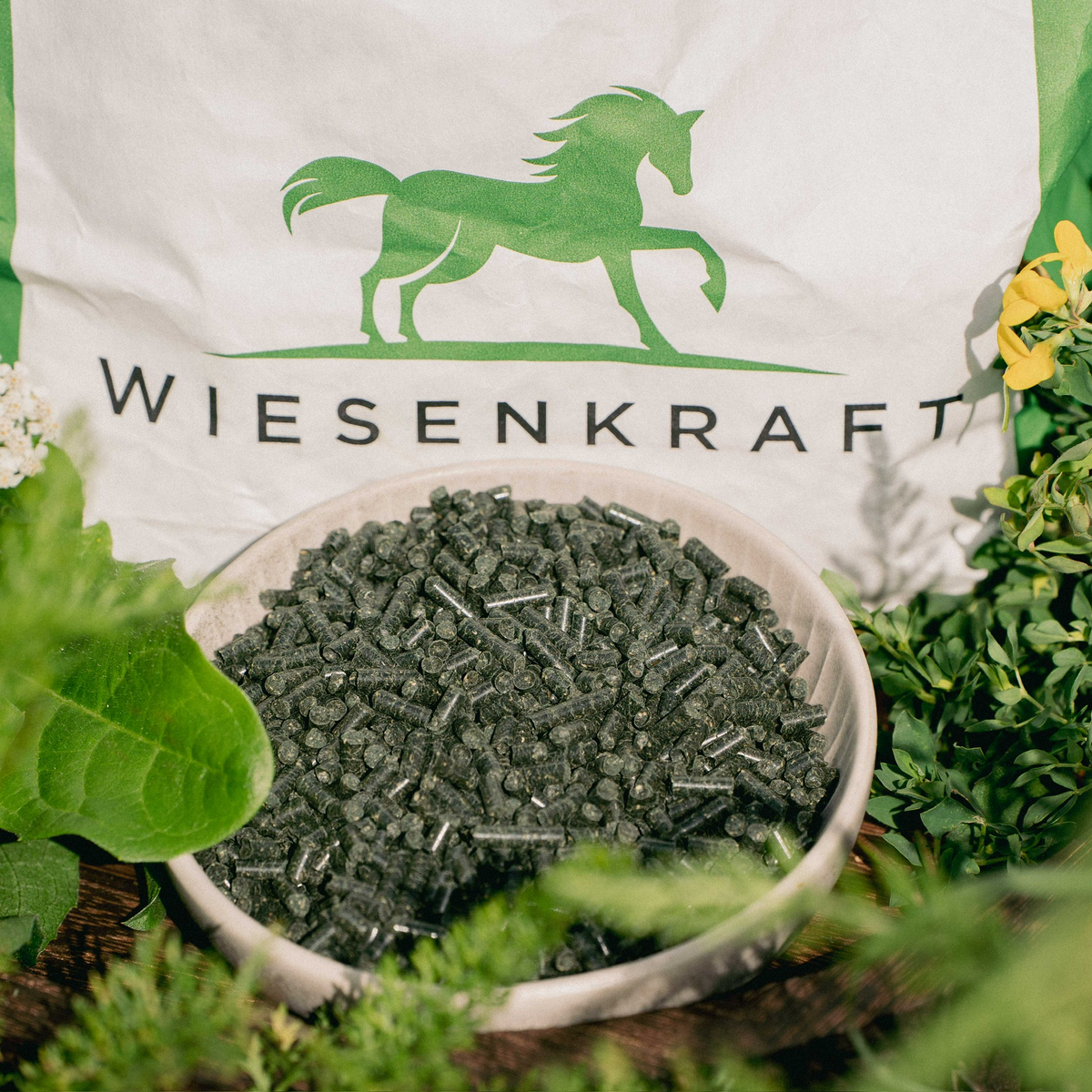 Wikra Muskel – Ergänzungsfutter für Muskelaufbau bei Pferden mit hochwertigen Aminosäuren