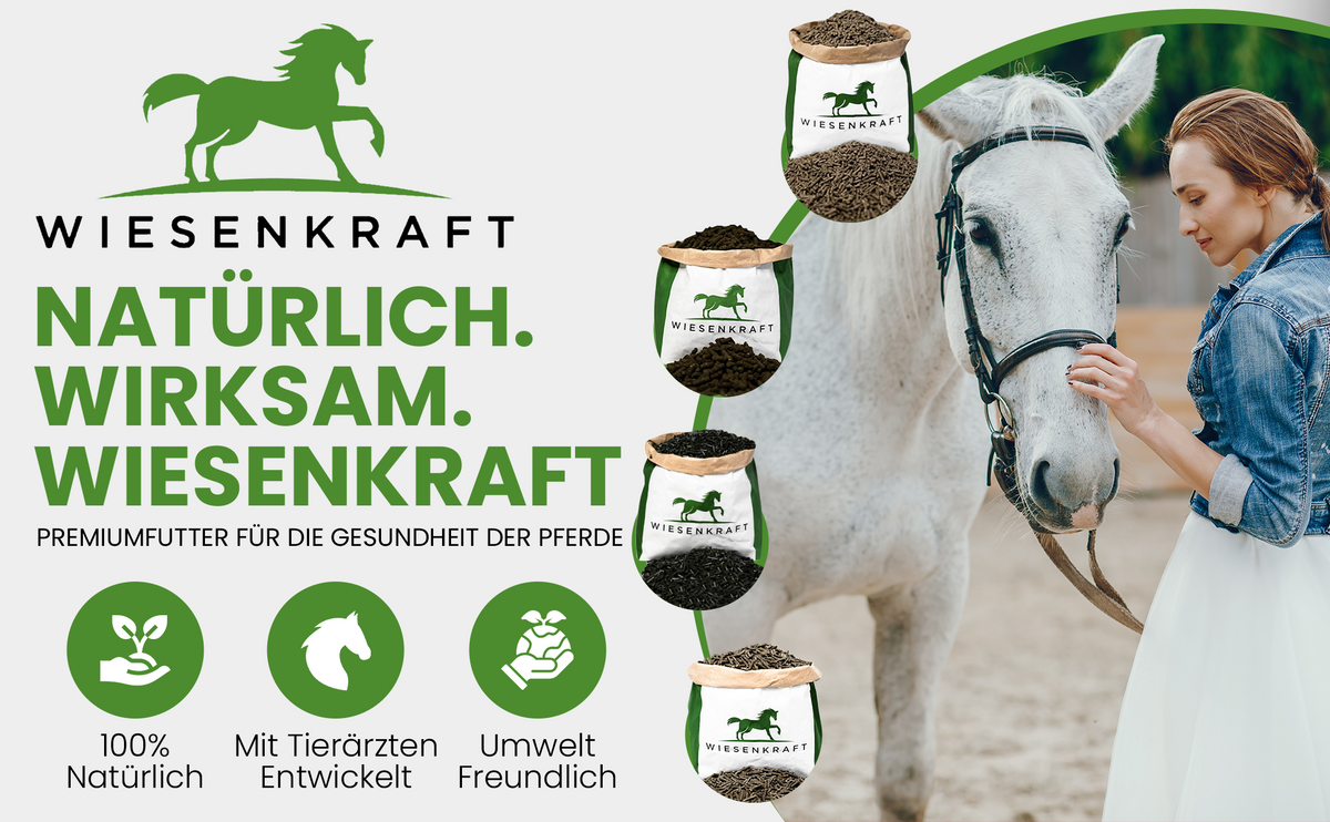 Getreidefreies Pferdefutter von Wiesenkraft – industriezuckerfrei und mit Tierärzten entwickelt