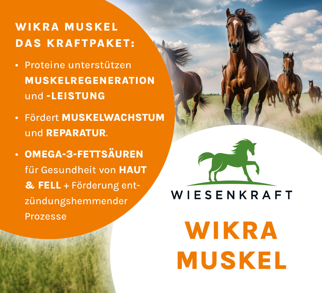 Wikra Muskel