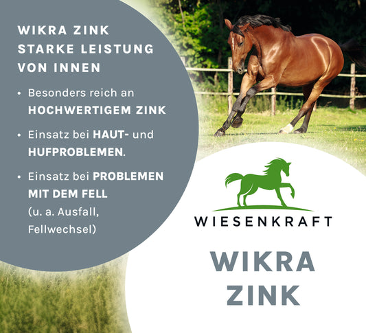 Wikra Zink - Wiesenkraft 