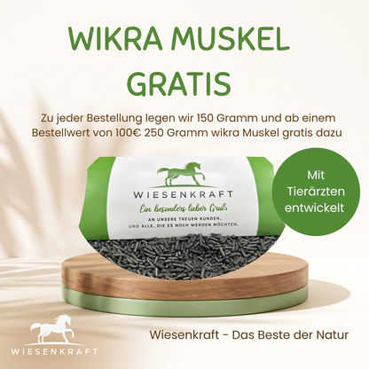Wikra Muskel – Ergänzungsfutter für den Muskelaufbau bei Pferden