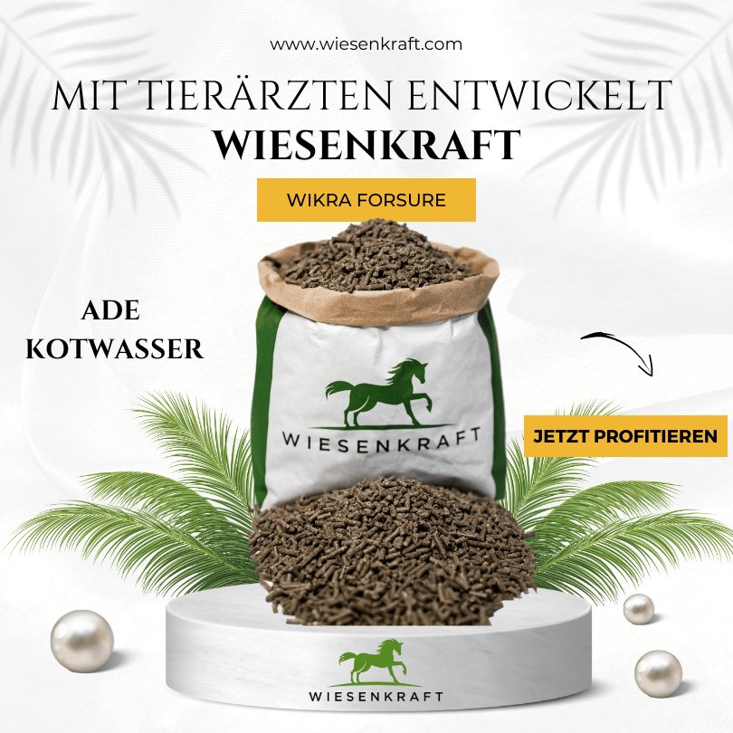 Wikra ForSure – Magen-Darm-Unterstützung für Pferde von Wiesenkraft