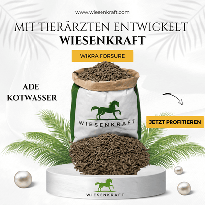 Wikra ForSure – Magen-Darm-Unterstützung für Pferde von Wiesenkraft